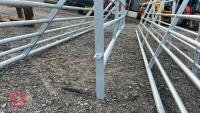 IAE 10' CATTLE HURDLE - 2