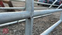 IAE 10' CATTLE HURDLE - 4