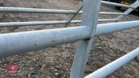 IAE 10' CATTLE HURDLE - 5