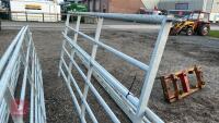 IAE 10' CATTLE HURDLE - 6