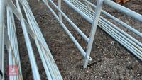 IAE 10' CATTLE HURDLE - 7