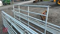 IAE 10' CATTLE HURDLE - 8