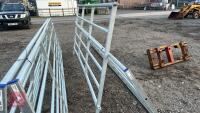IAE 10' CATTLE HURDLE - 9