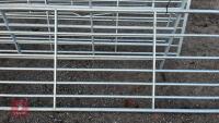 IAE 14' GALVANISED FIELD GATE - 5