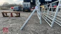 IAE 14' GALVANISED FIELD GATE - 8