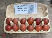 1 DOZEN COPPER MARAN HATCHING EGGS BIDS FOR THE DOZEN