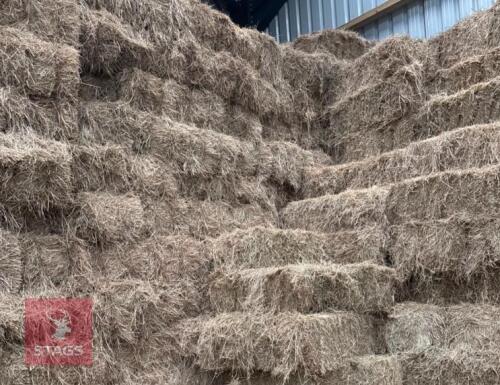 25 CONVENTIONAL BALES OF 2024 HAY BIDS FOR THE GROUP