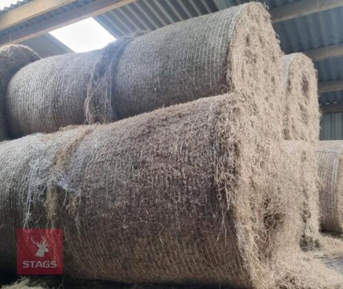 60 ROUND BALES OF 2024 HAY BIDS PER BALE