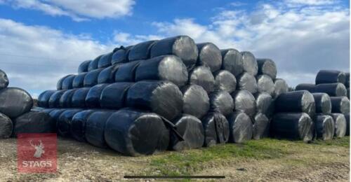 75 ROUND BALES OF 2024 SILAGE BIDS PER BALE