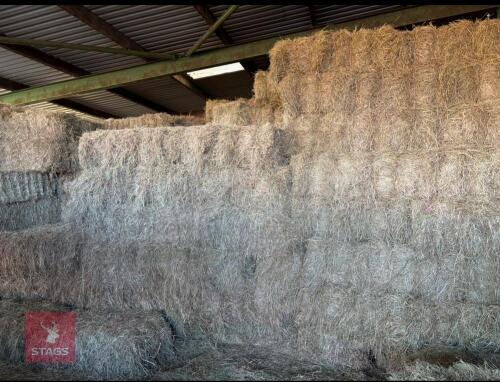 100 CONVENTIONAL BALES OF 2024 HAY BIDS FOR THE GROUP
