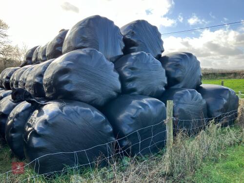 76 WRAPPED ROUND BALES OF 2023 HAYLAGE BIDS PER BALE