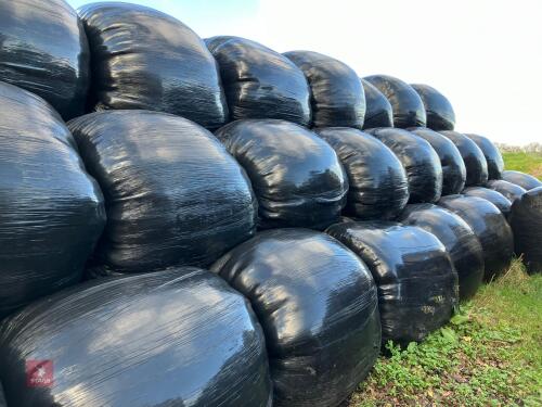 48 WRAPPED ROUND BALES OF 2023 HAYLAGE BIDS PER BALE