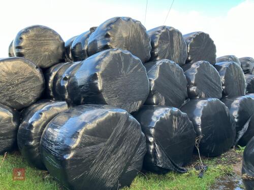 84 WRAPPED ROUND BALES OF 2024 HAYLAGE BIDS PER BALE
