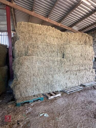 60 LARGE BALES OF 2024 HAY BIDS PER BALE