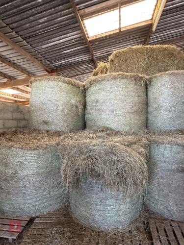 50 ROUND BALES OF 2024 HAY BIDS PER BALE