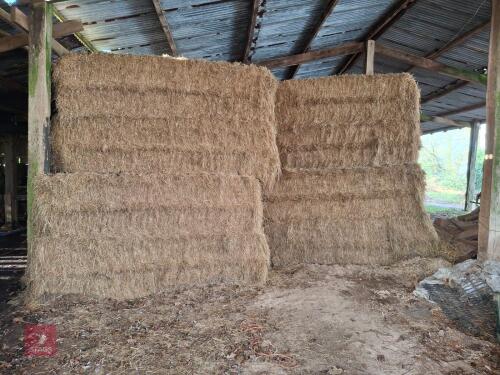 25 QUADRANT BALES OF 2024 MEADOW HAY BIDS PER BALE