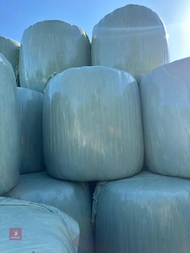 50 ROUND BALES OF 2024 HAYLAGE BIDS PER BALE