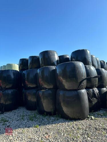 50 ROUND BALES OF 2024 HAYLAGE BIDS PER BALE