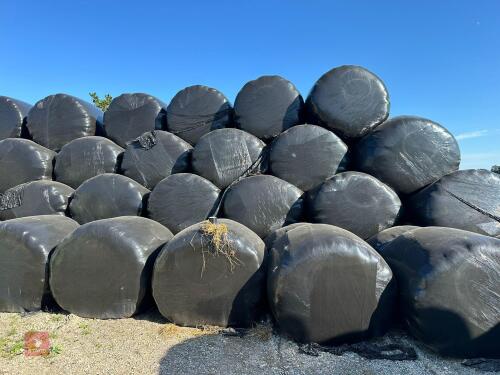 50 ROUND BALES OF 2024 RYE GRASS BIDS PER BALE