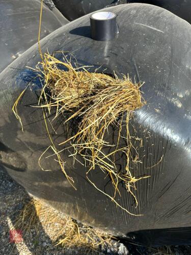 50 ROUND BALES OF 2024 RYE GRASS BIDS PER BALE