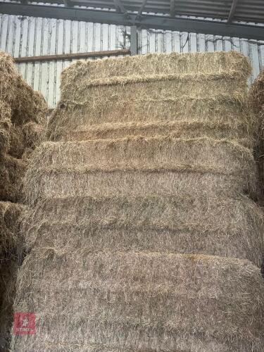30 SQAURE BALES OF 2024 MEADOW HAY BIDS PER BALE