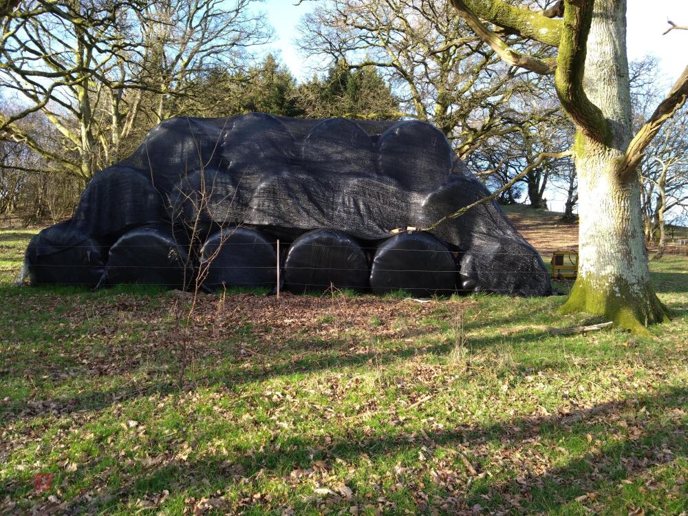 55 ROUND BALES OF 2024 HAYLAGE BIDS PER BALE