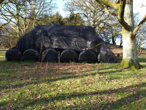 55 ROUND BALES OF 2024 HAYLAGE BIDS PER BALE