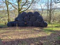 55 ROUND BALES OF 2024 HAYLAGE BIDS PER BALE - 2