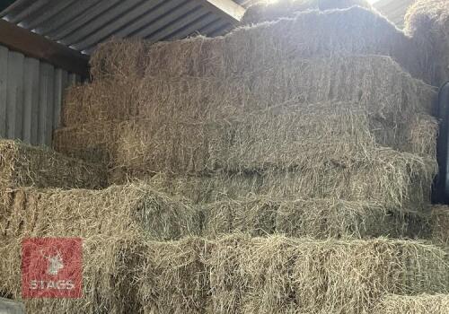 25 CONVENTIOANL BALES OF MEADOW HAY BIDS FOR THE GROUP