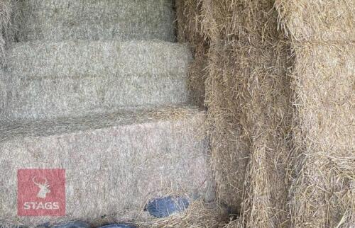 30 SQUARE BALES OF 2024 MEADOW HAY BIDS PER BALE