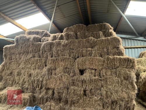 25 SMALL BALES OF 2024 MEADOW HAY BIDS FOR THR GROUP