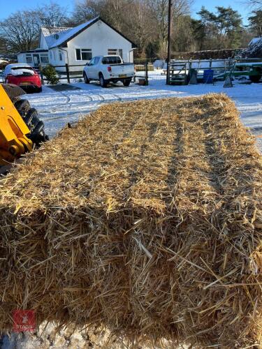 20 QUADRANT BALES OF 2024 WHEAT STRAW BIDS PER BALE