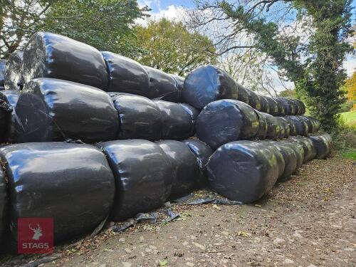 30 BALES OF 2024 SILAGE BIDS PER BALE