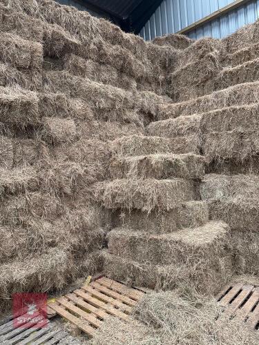 40 BALES OF 2024 HAY BIDS FOR THE GROUP
