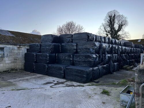 100 QUADRANT BALES 2024 HAYLAGE BIDS PER BALE