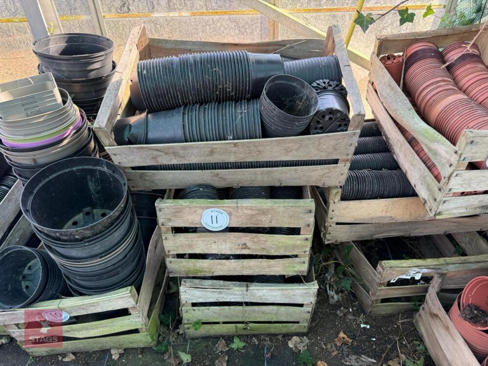QTY OF 12CM ROUND PLANT POTS