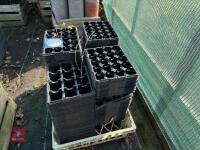 QTY OF SEEDLING TRAYS - 4