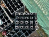QTY OF SEEDLING TRAYS - 5