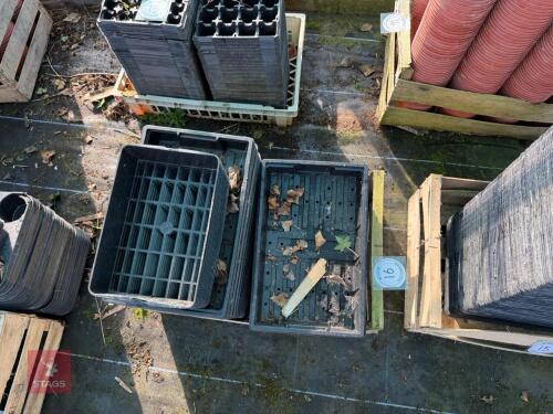 QTY OF SEED TRAYS