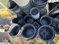 LARGE QTY OF MIXED PLANT POTS - 3