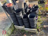 LARGE QTY OF MIXED PLANT POTS - 10