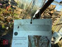1 ACER GRISEUM - 5