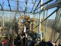 1 ACER GRISEUM - 3