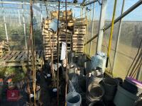 1 ACER GRISEUM - 4