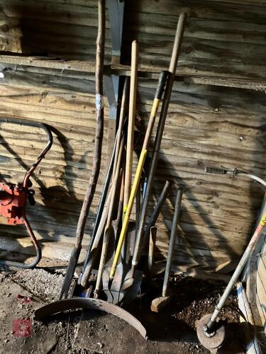 ASSORTED GARDEN TOOLS (156)
