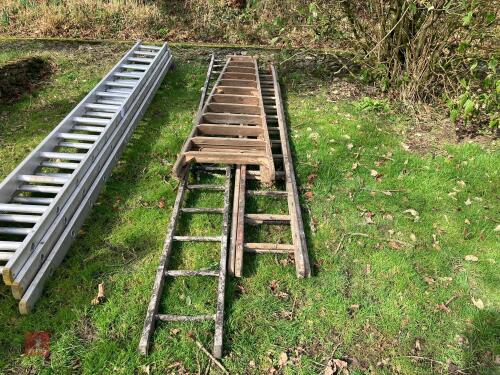 3 MIXED LADDERS (172)