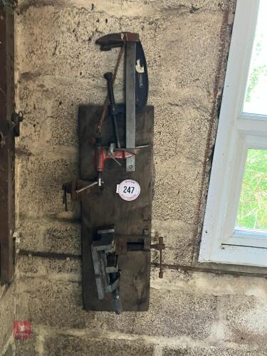 VARIOUS CLAMPS (247)