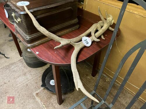 PAIR OF RED DEER ANTLERS (319)