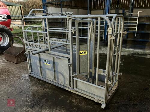 IAE GALVANISED YEARLING CRUSH