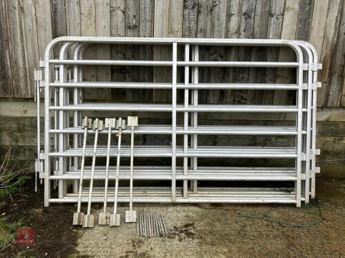 6 X 8' 6'' ALUMINIUM CATTLE HURDLES